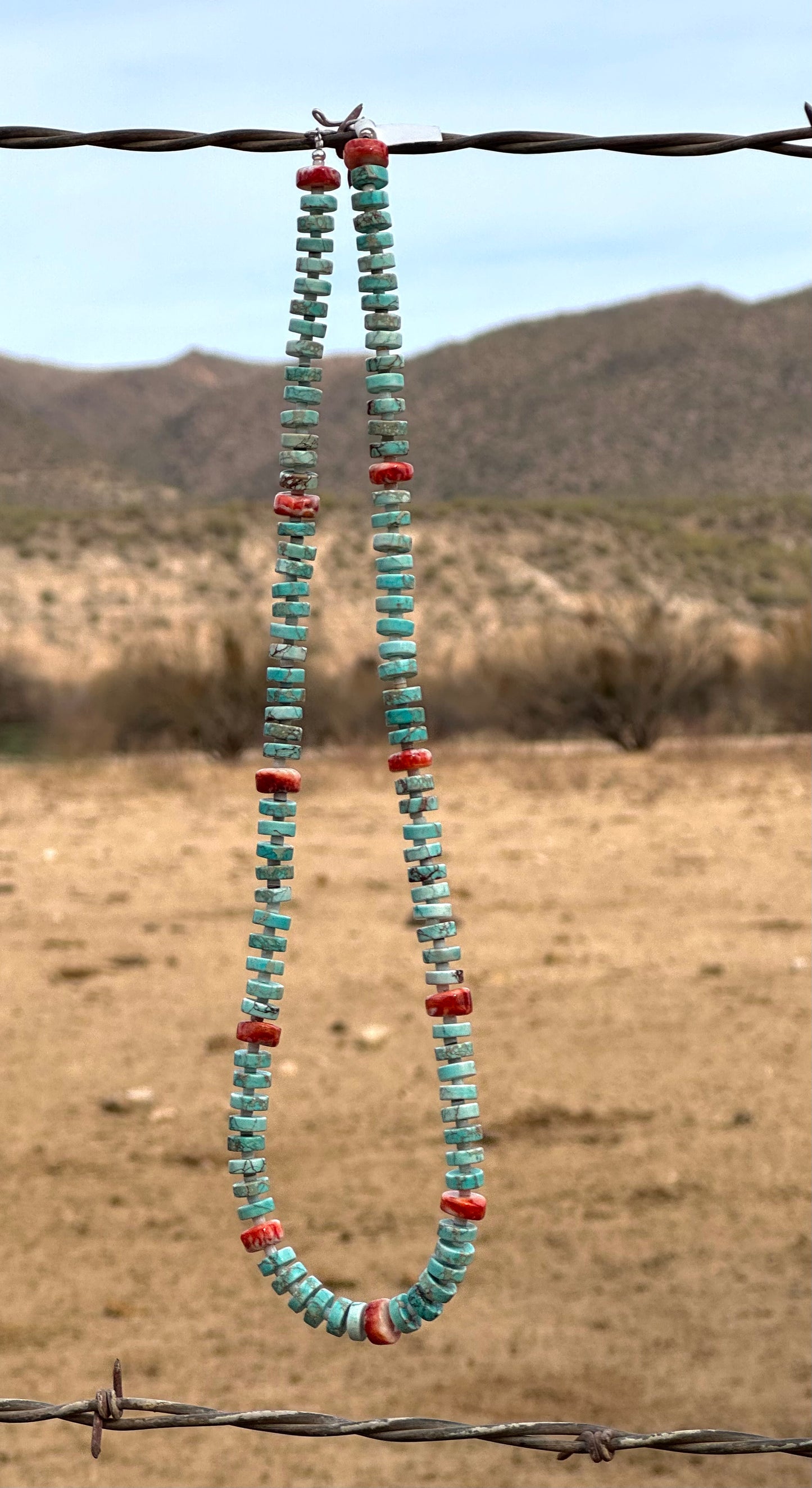 Turquoise & Spiny
