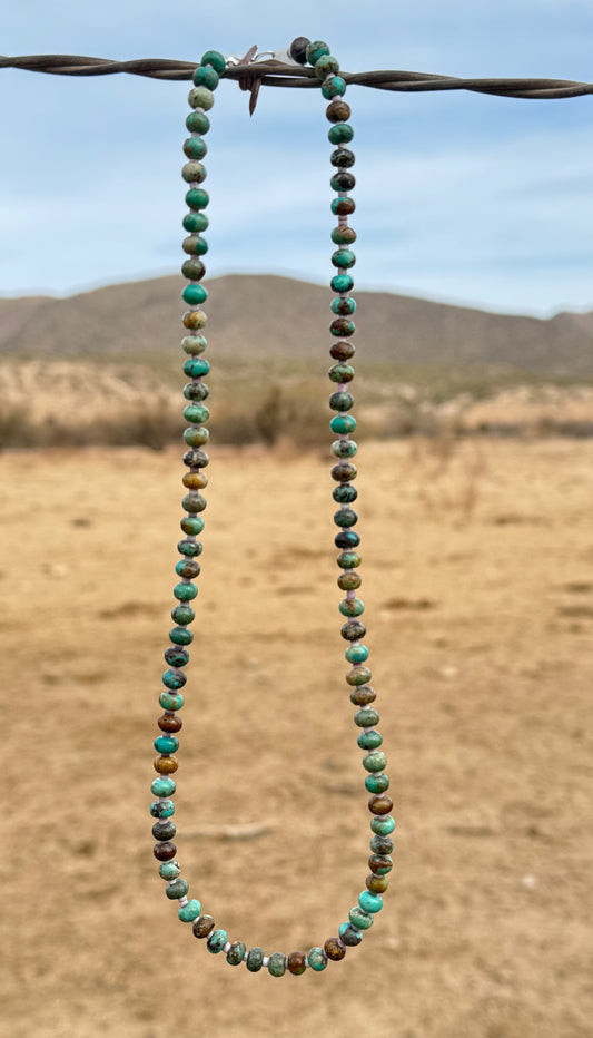 Turquoise & Purple Spiny