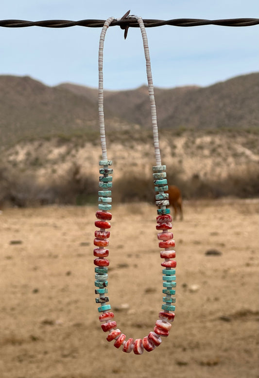 Turquoise & Spiny