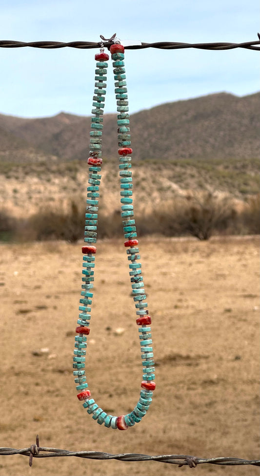 Turquoise & Spiny