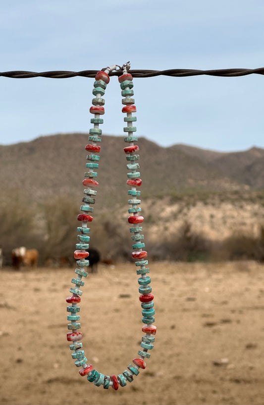 Turquoise & Spiny